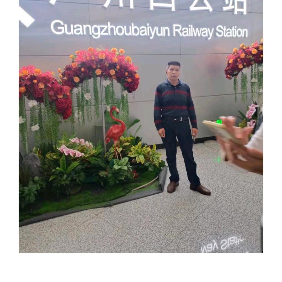 带来好运