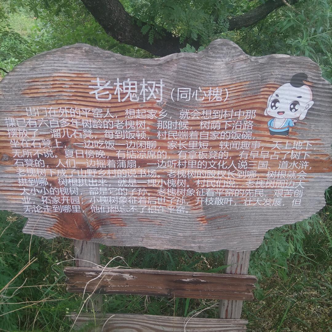 利哥