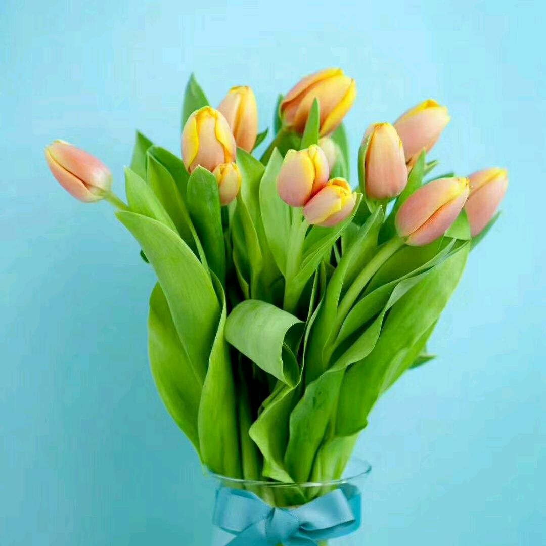 不疯不野不温柔