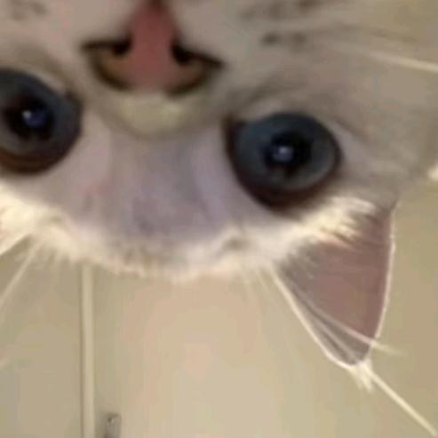 。。。。