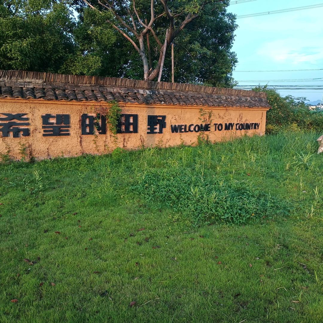 石哥