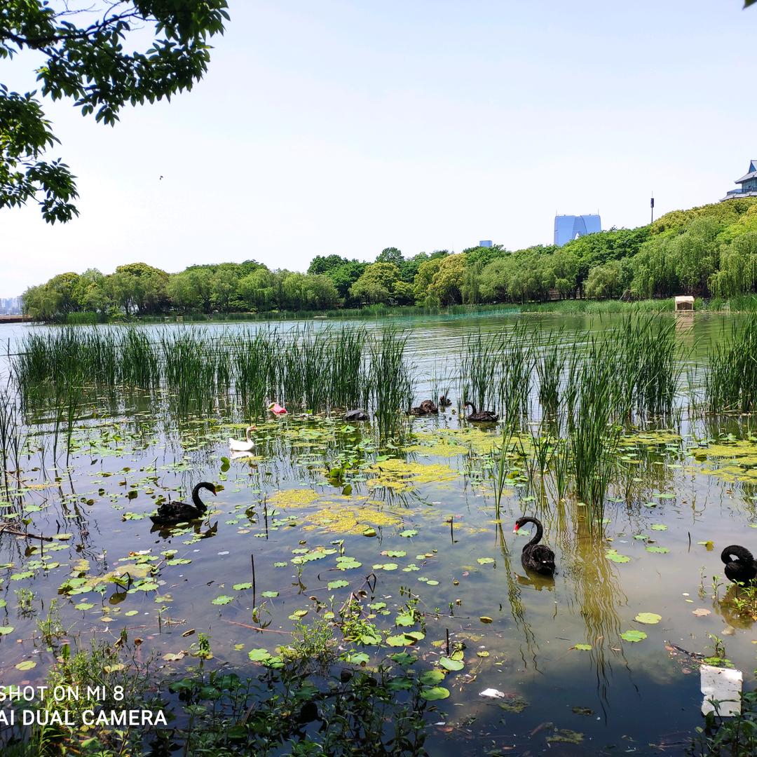 苏州—红枫（公积金）