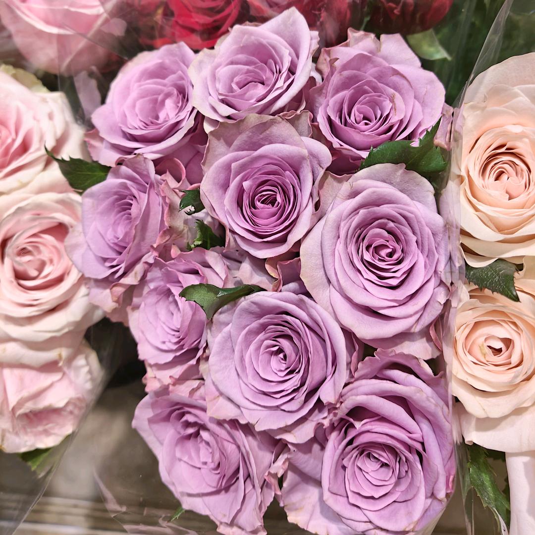 轻煮时光慢煮茶