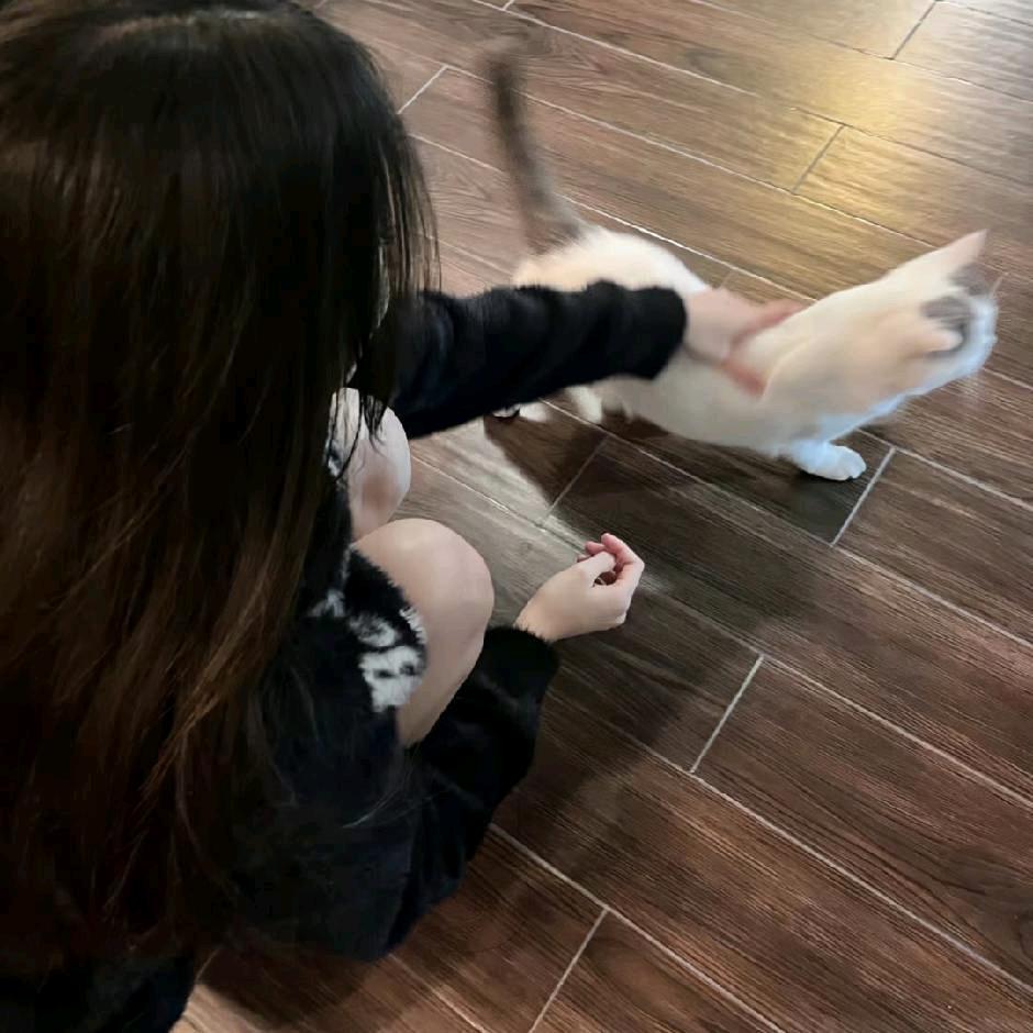ʚ呆萌的皇帝ɞ