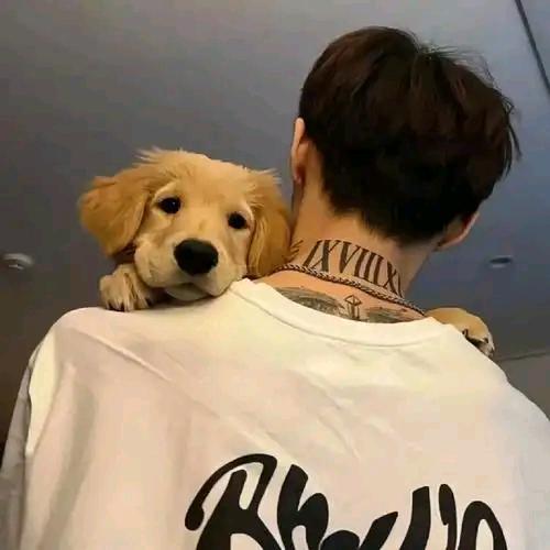 我干了，你随意