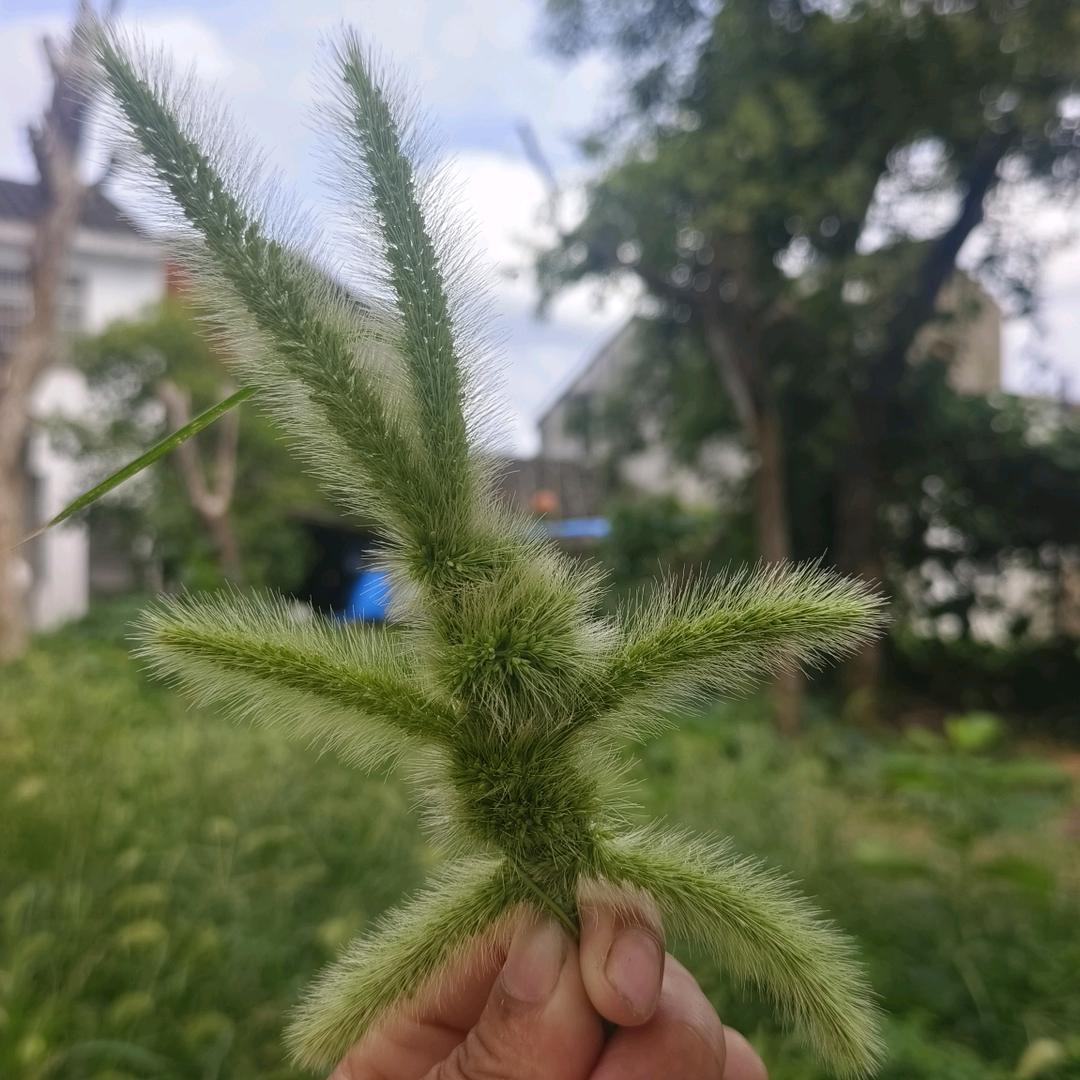 80后家政慧姐