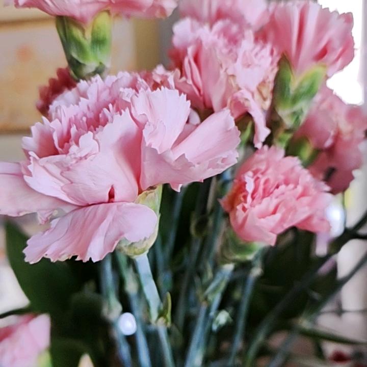 淡然一笑