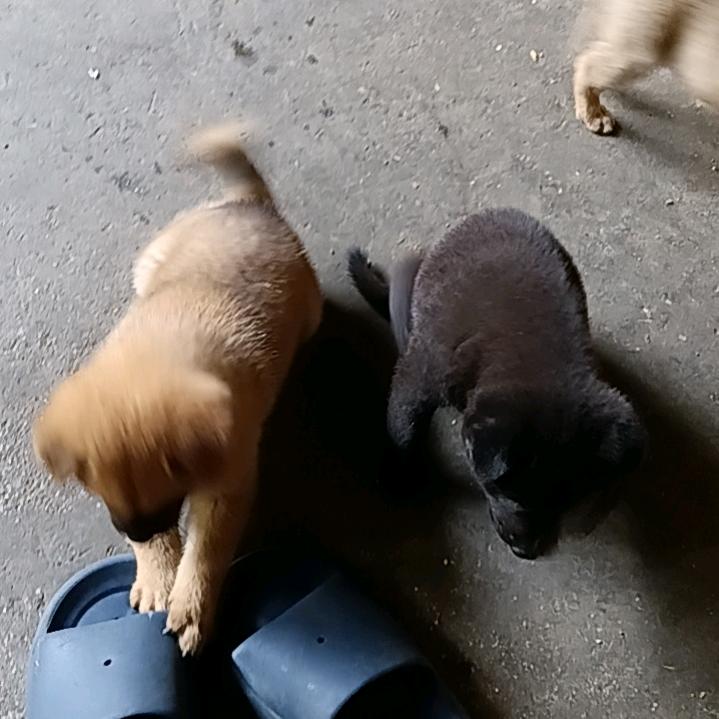 人生