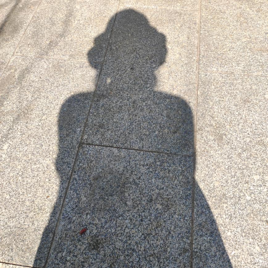 李子 📸