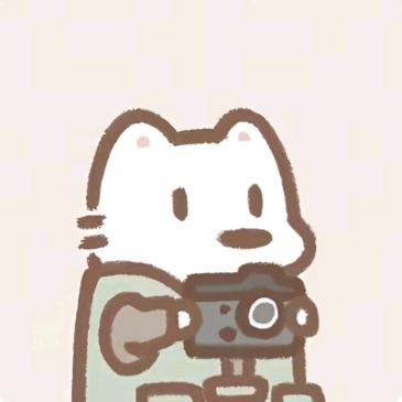 DS.