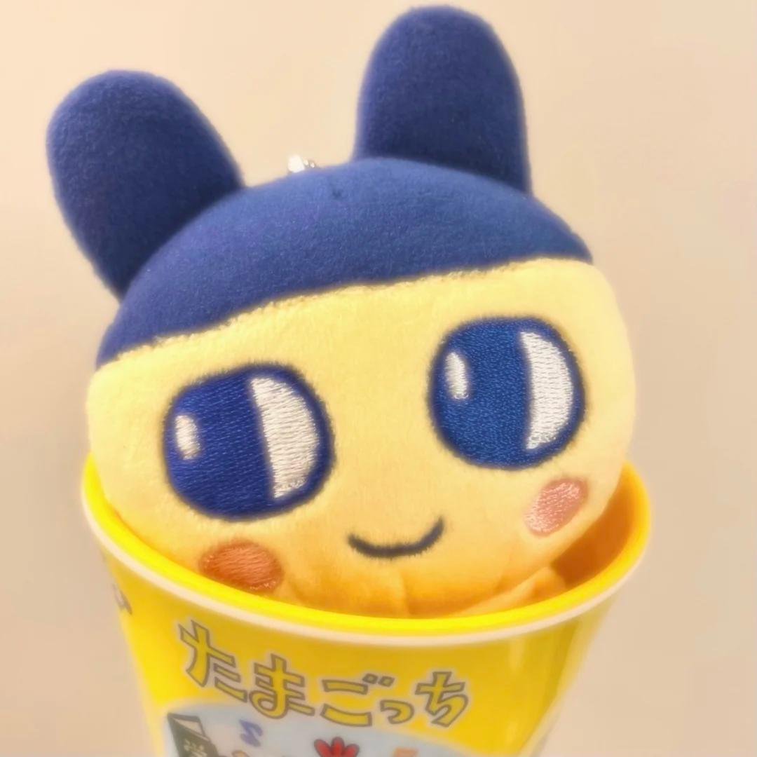 橙子汽水🧊️