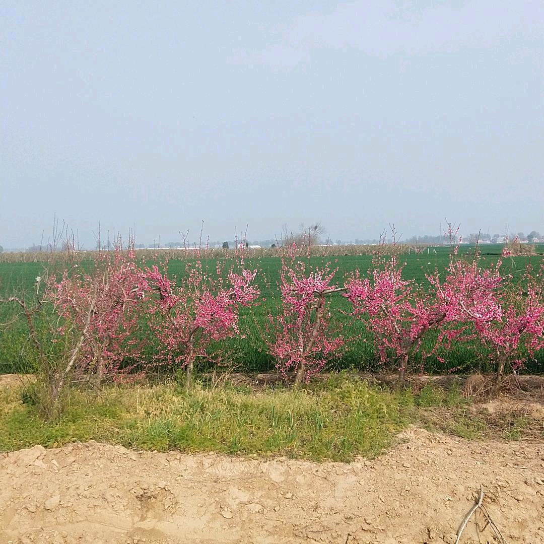 你是风儿我是沙