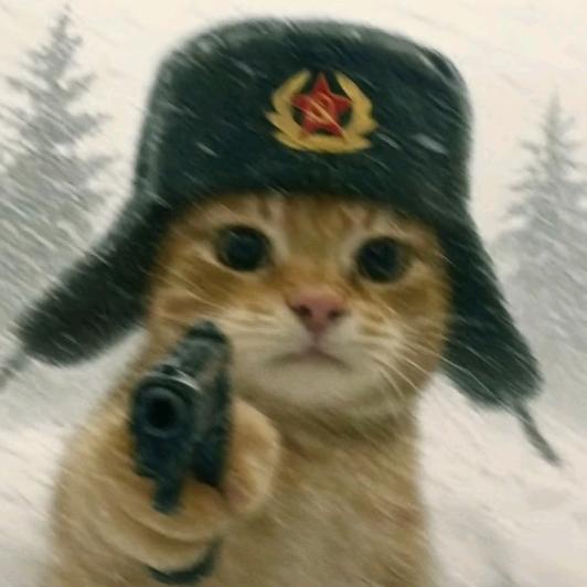 新宇  等2.0万人