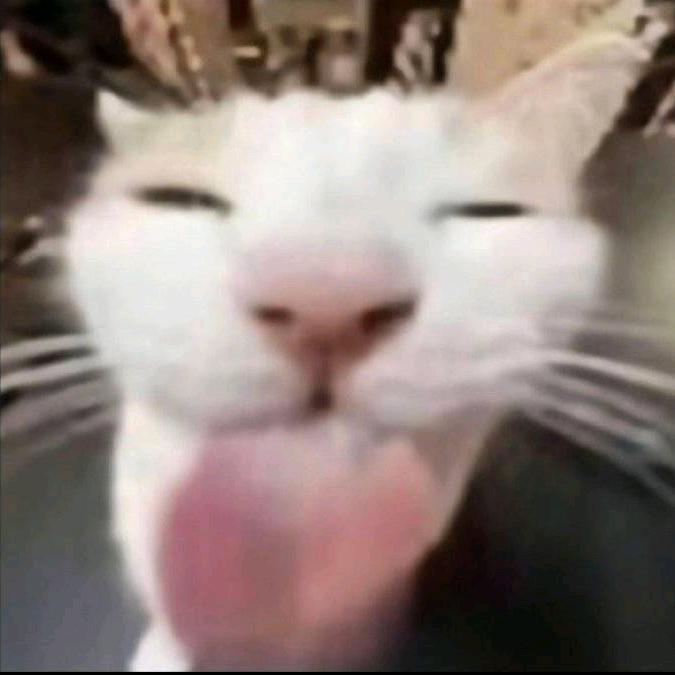 wh乐乐（小号）