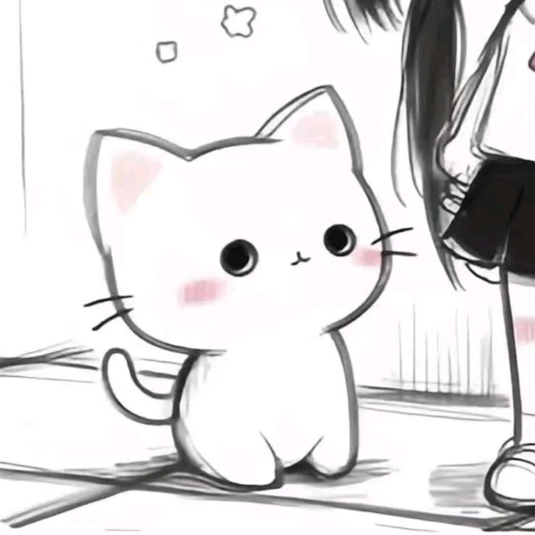 荔枝西米露°˖✧︎