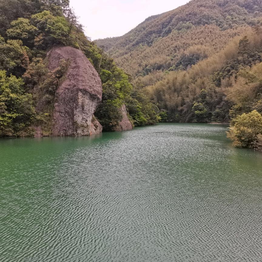 风雨同行头像