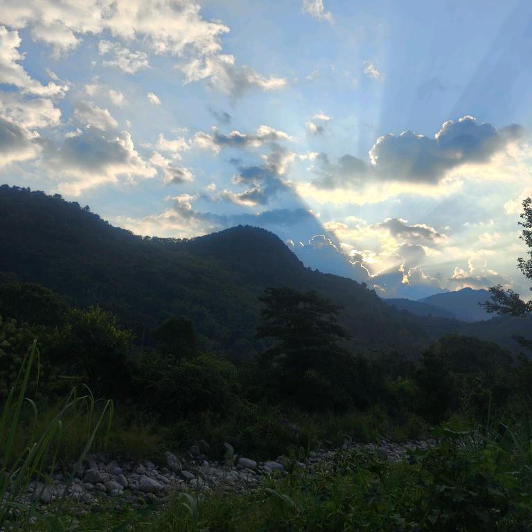 向阳,新我