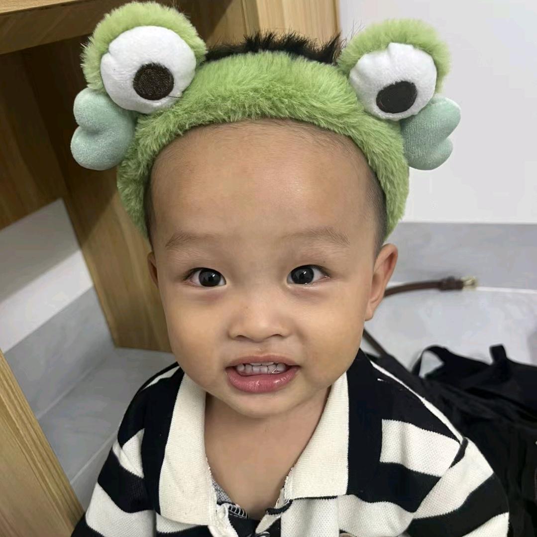 🦈 🦈航