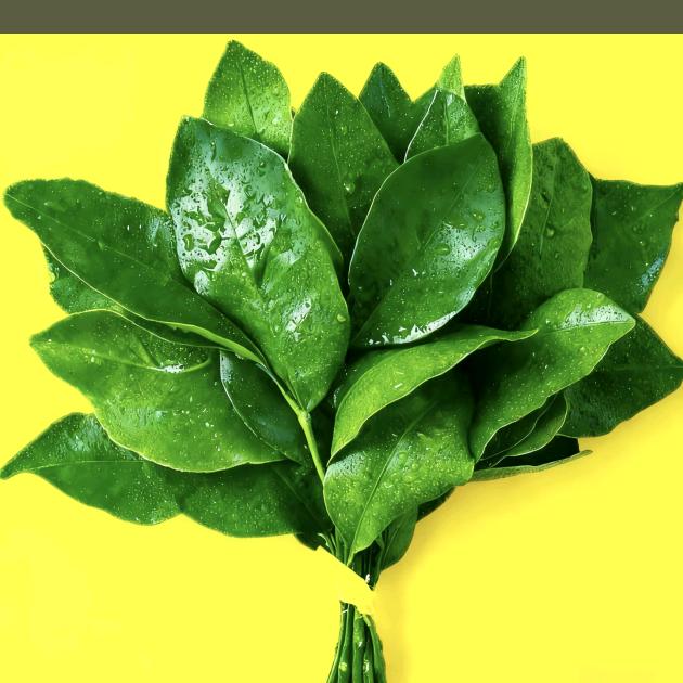 榴莲爆爆【都在橱窗】