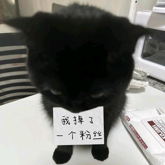 露娜