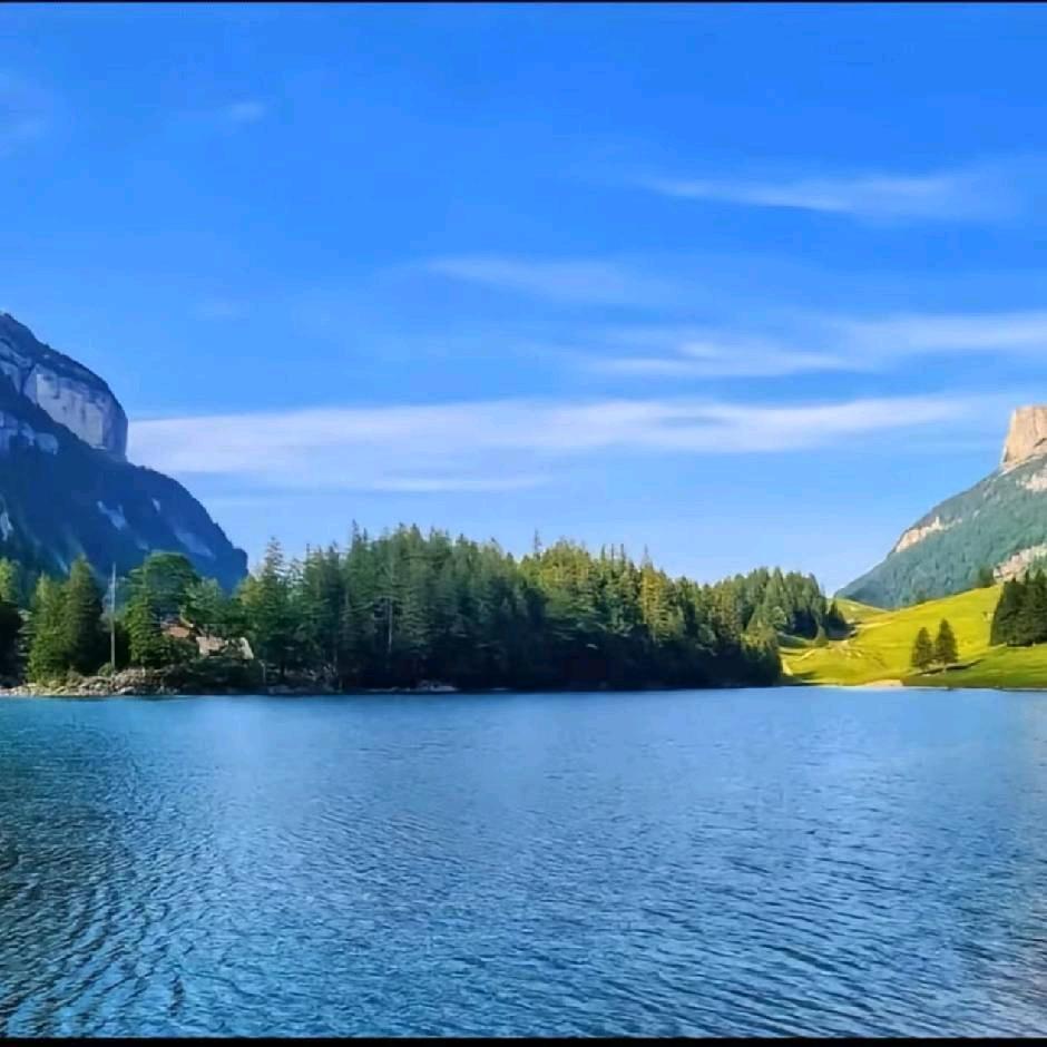 吹吹人间发财风.