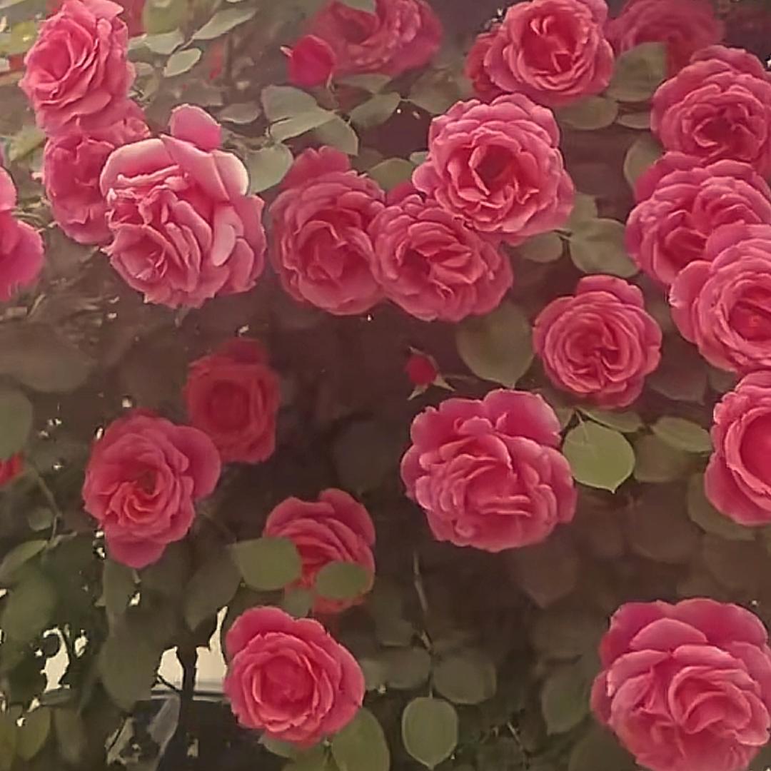 纺织织布