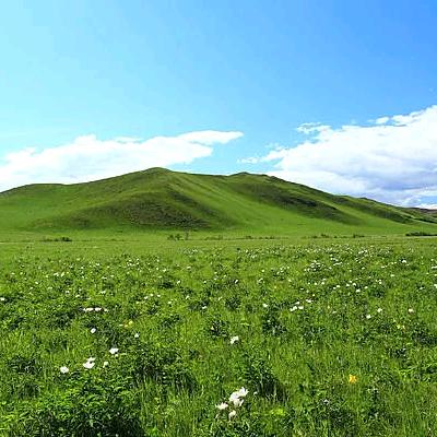 ꧁往事꧔ꦿ᭄ᩚ꯭ᩚ随风