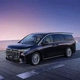 蓝汇-小辉的岚图