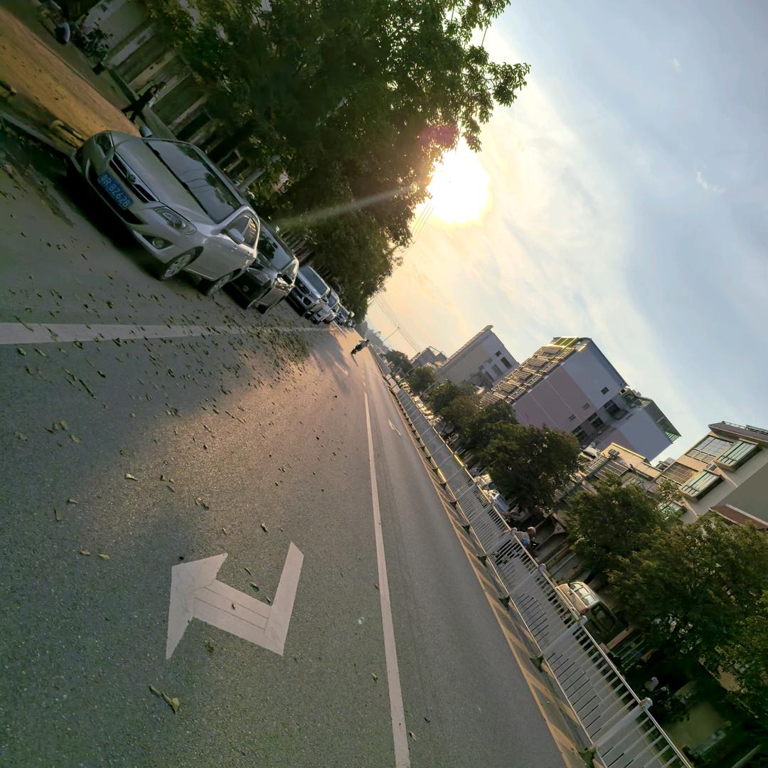 柑蕉桔梨萝柚