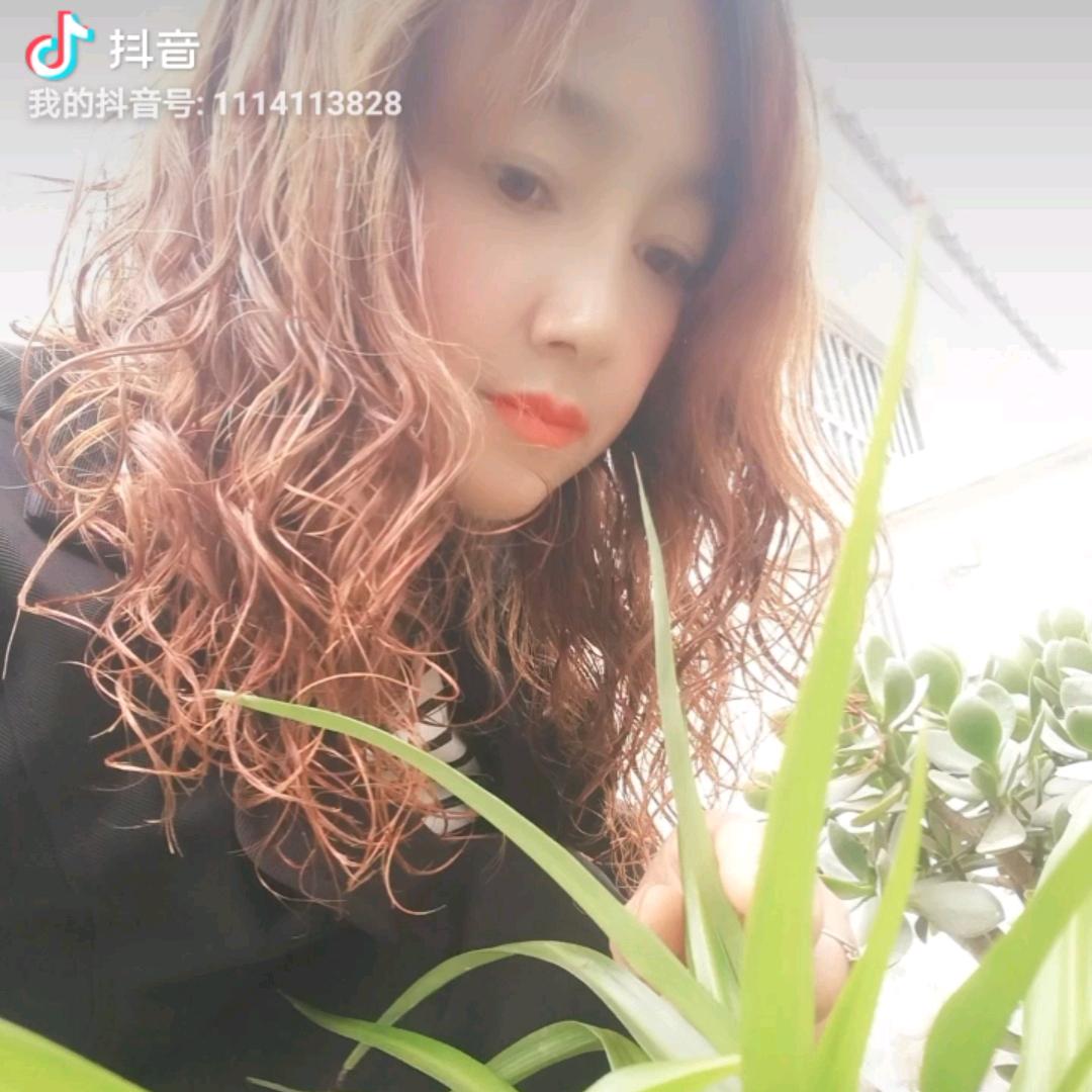 云深不知刘