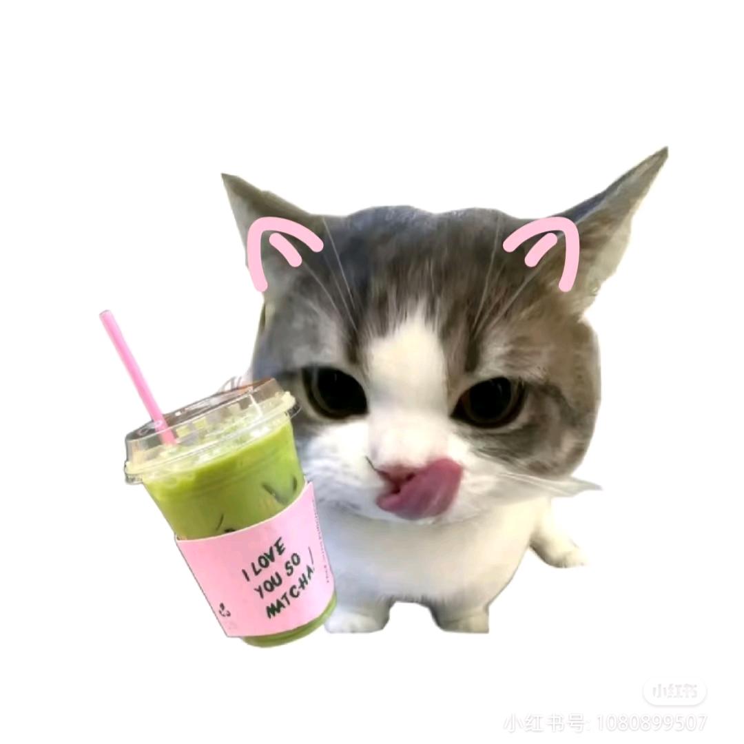 场地