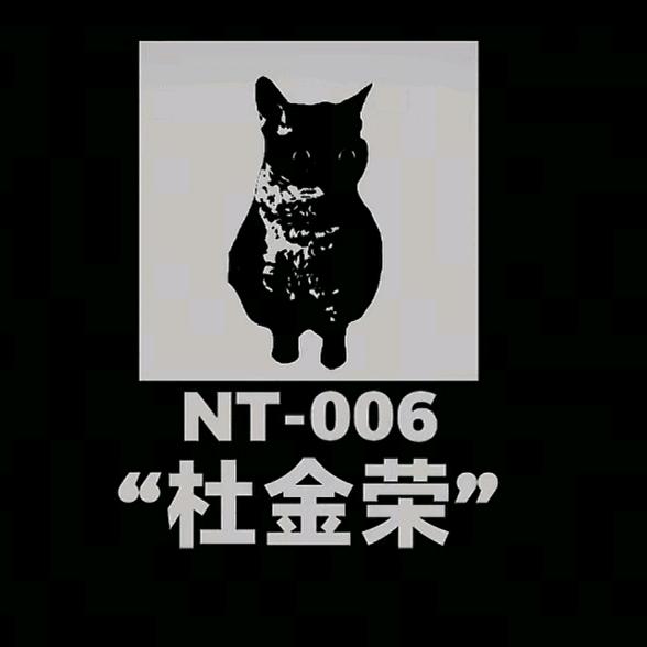 NT—006社金荣