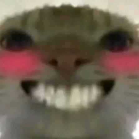 哑风（三角洲行动版）