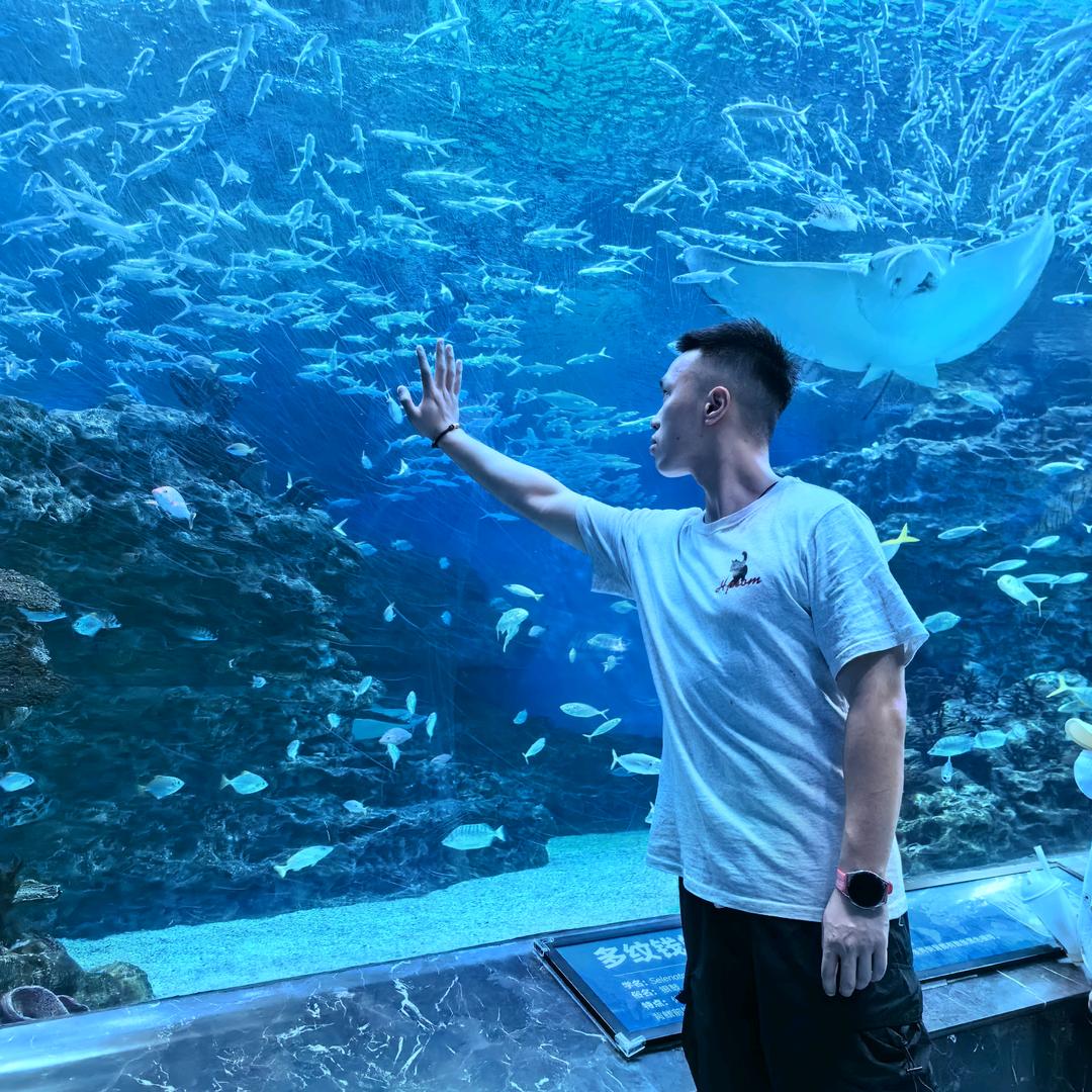 龙小暴🦖
