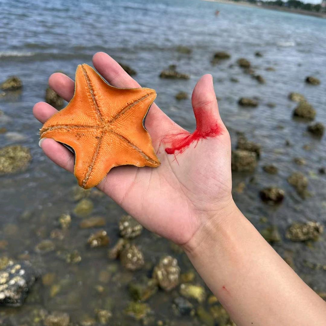 按时吃饭，