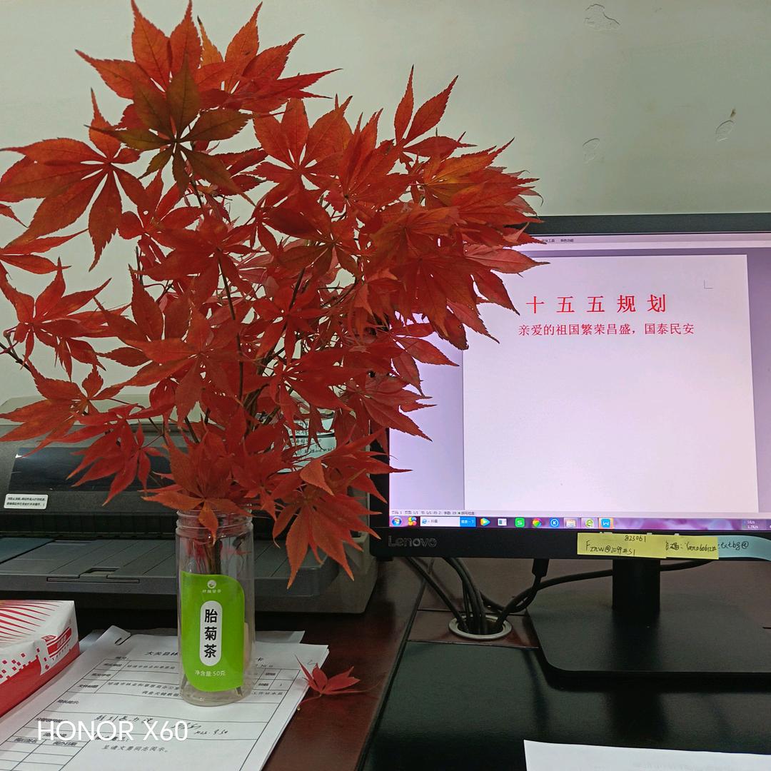 看世间繁华