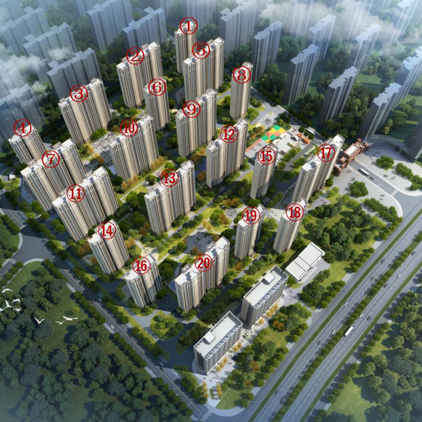 新房专家