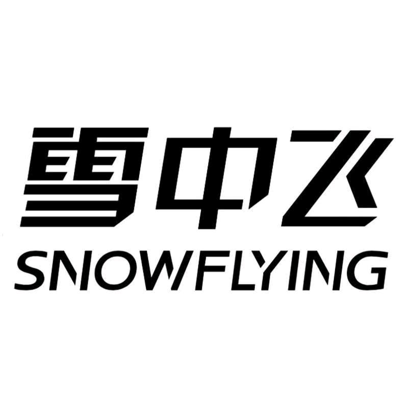 雪中飞陈娟内衣专卖店