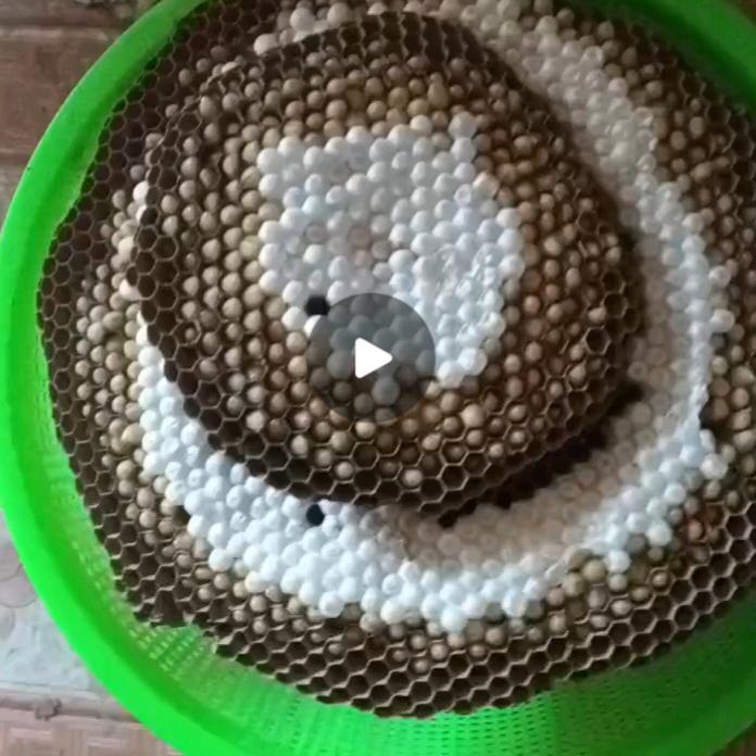 🥀এ᭄余生ꦿ有你💔ഒᩚ࿐