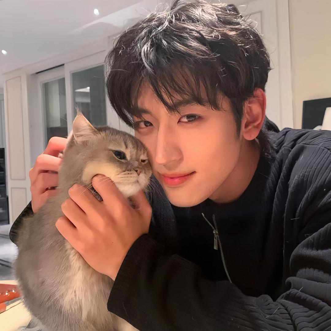 骂我的都是日本人.