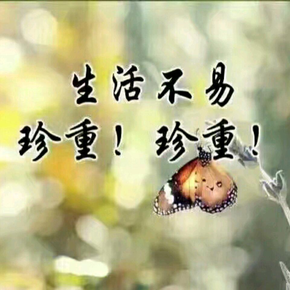 风中的承诺