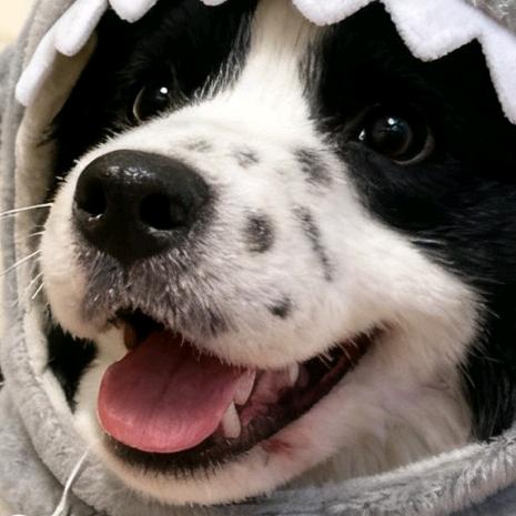 怡宝🐑