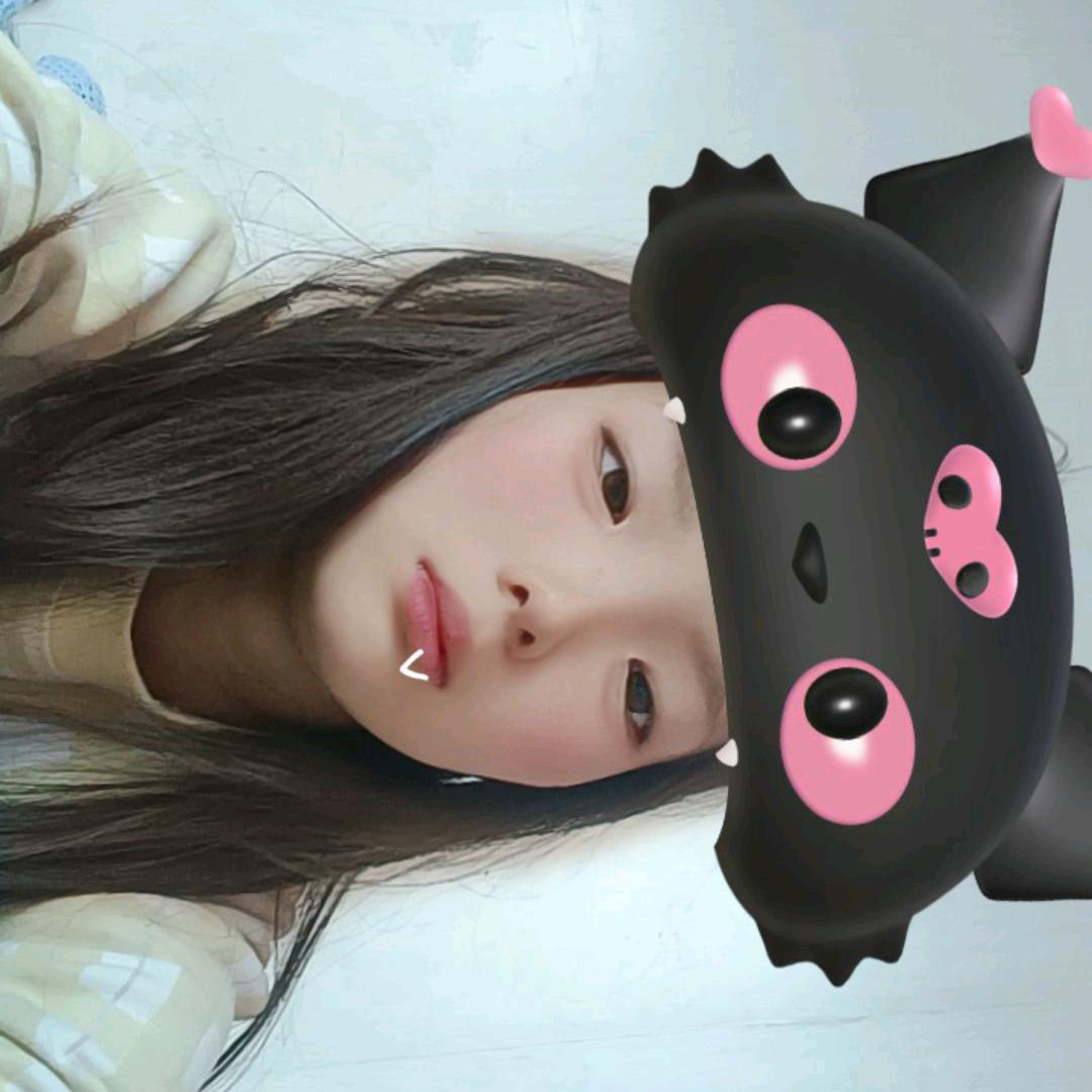 可爱小猫咪