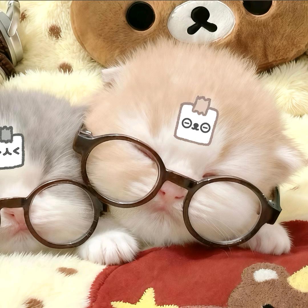壹月十二