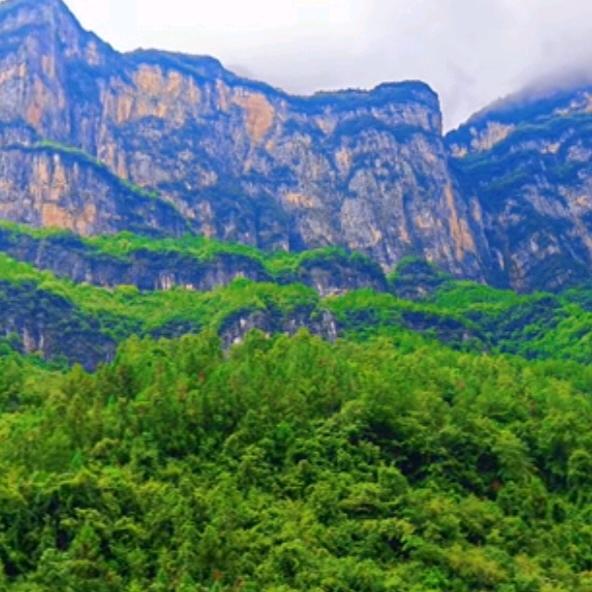 大山85656927