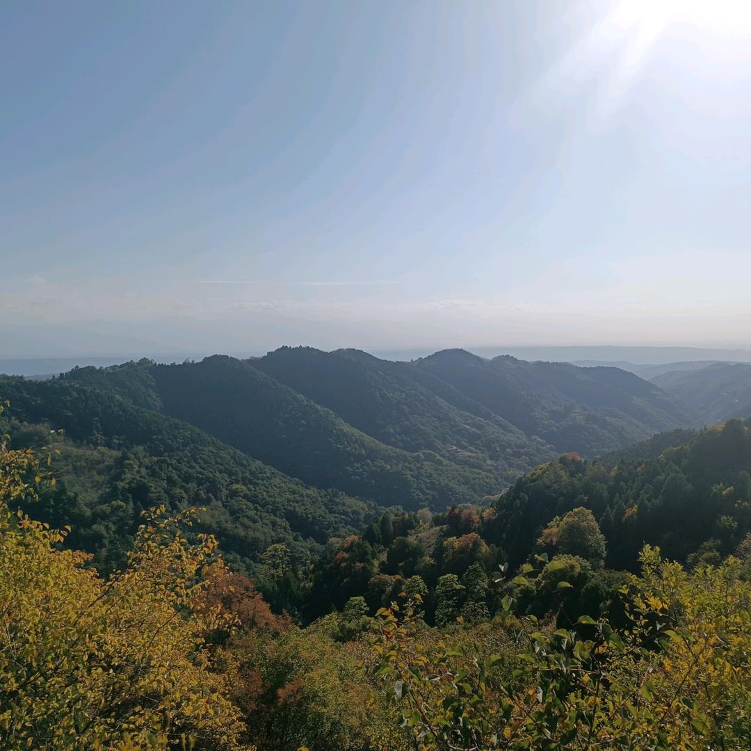 一指流沙，