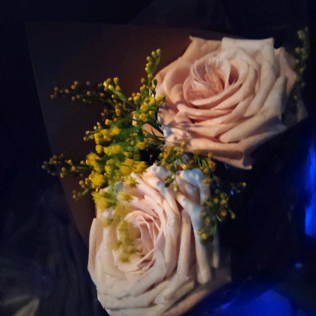 往后余生做一个没心没肺的人