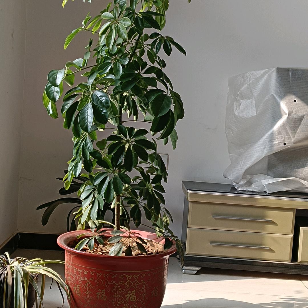 蓝旗舰影视剪辑