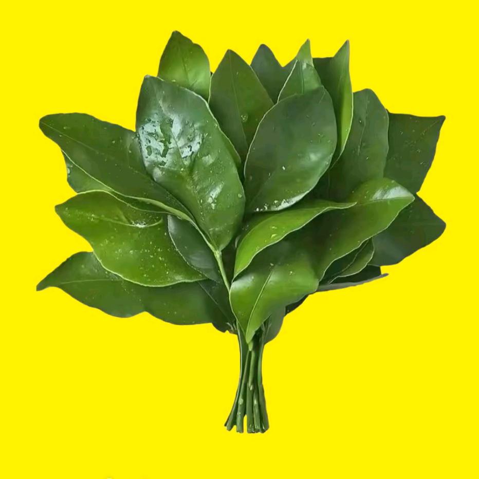 幸运福宝