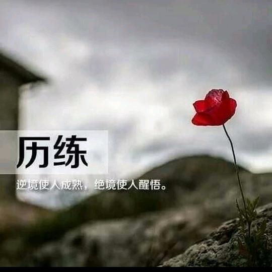 历练